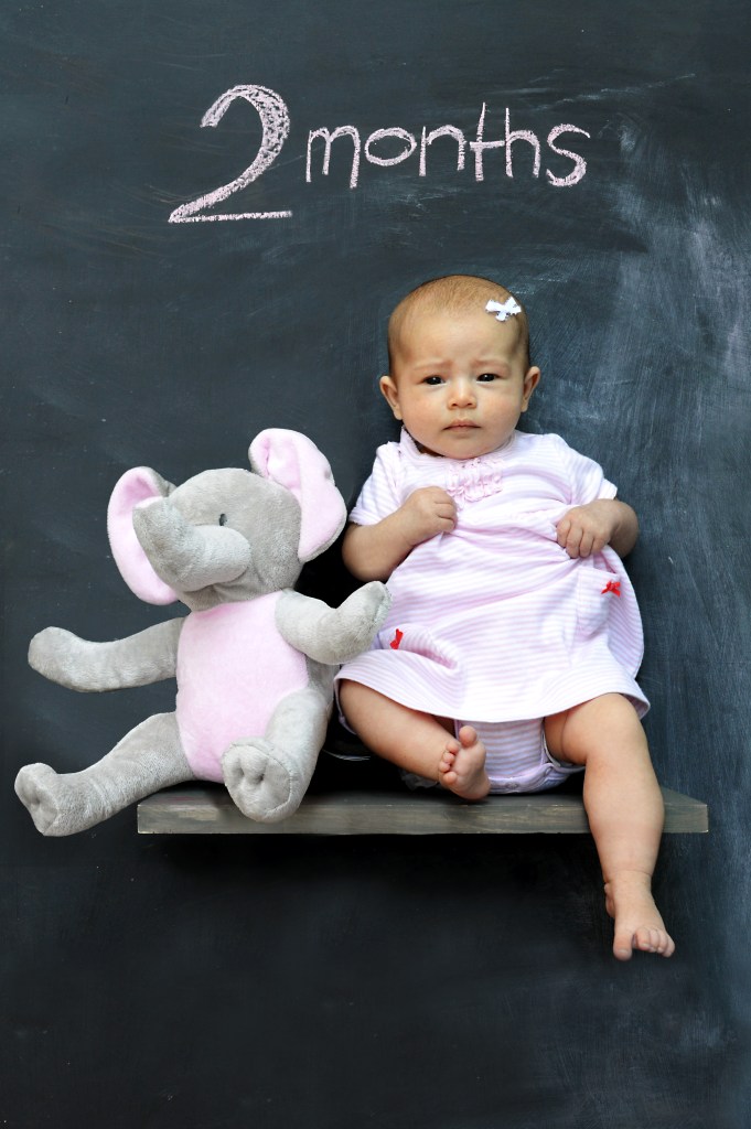 2 month elephant fix